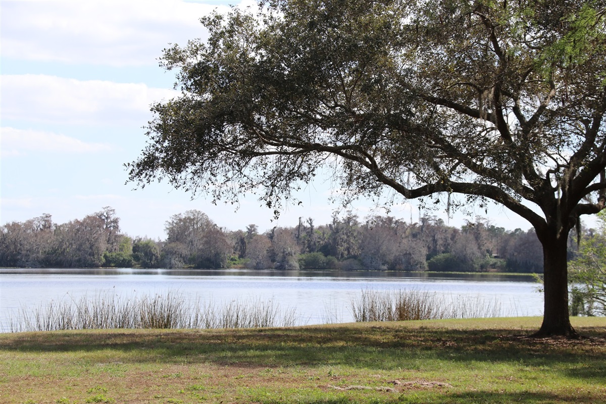 Rosemont Preserve City of Orlando