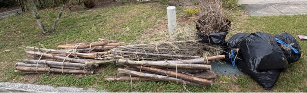 A correct example of yard waste curb placement. Yard waste is tied in tied in bundles and bagged.