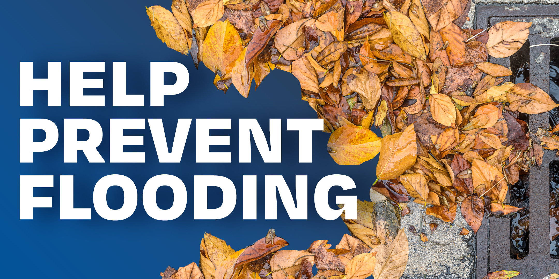 A graphic with the title