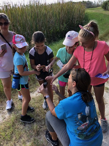 A volunteer tour guide kneels down in front of children to show them a small live turtle while out on a tour of the Orlando Wetlands.