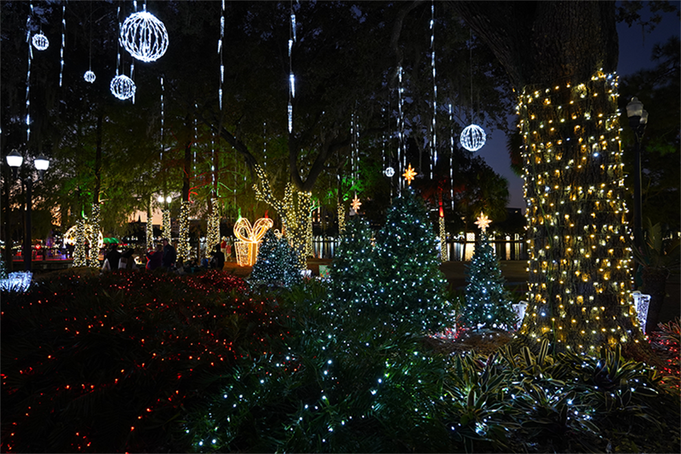 Clemwood holiday Lights lit up at Lake Eola Park