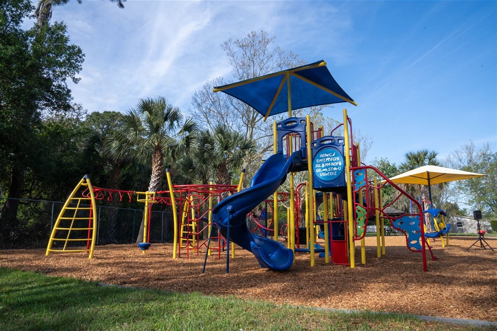 A Plaground on mulch with a slide and a Jungle Gym surrounded by trees