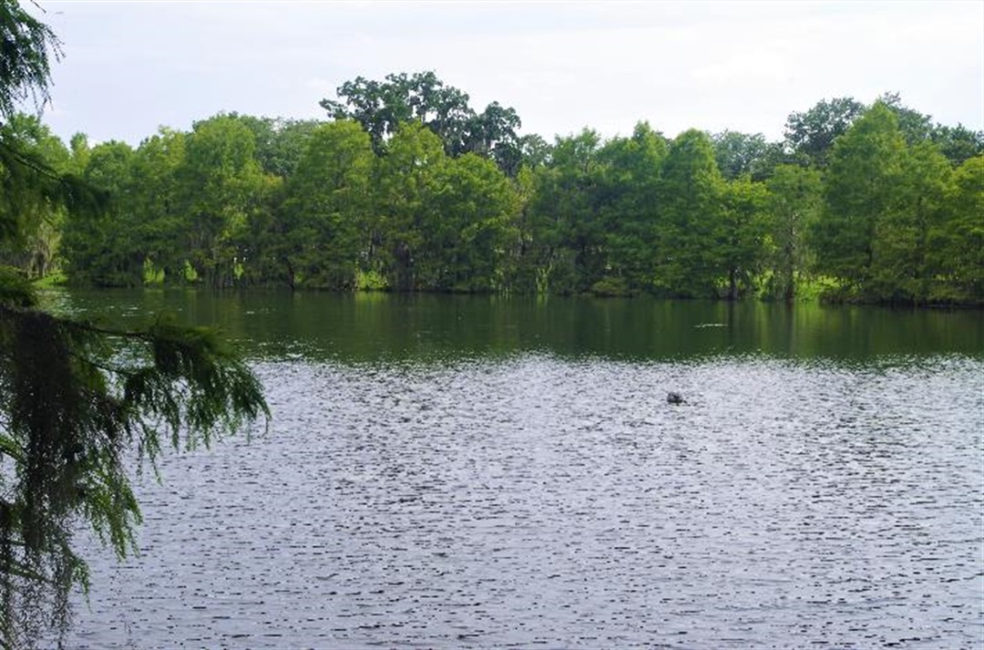 Lake Rowena Park City of Orlando