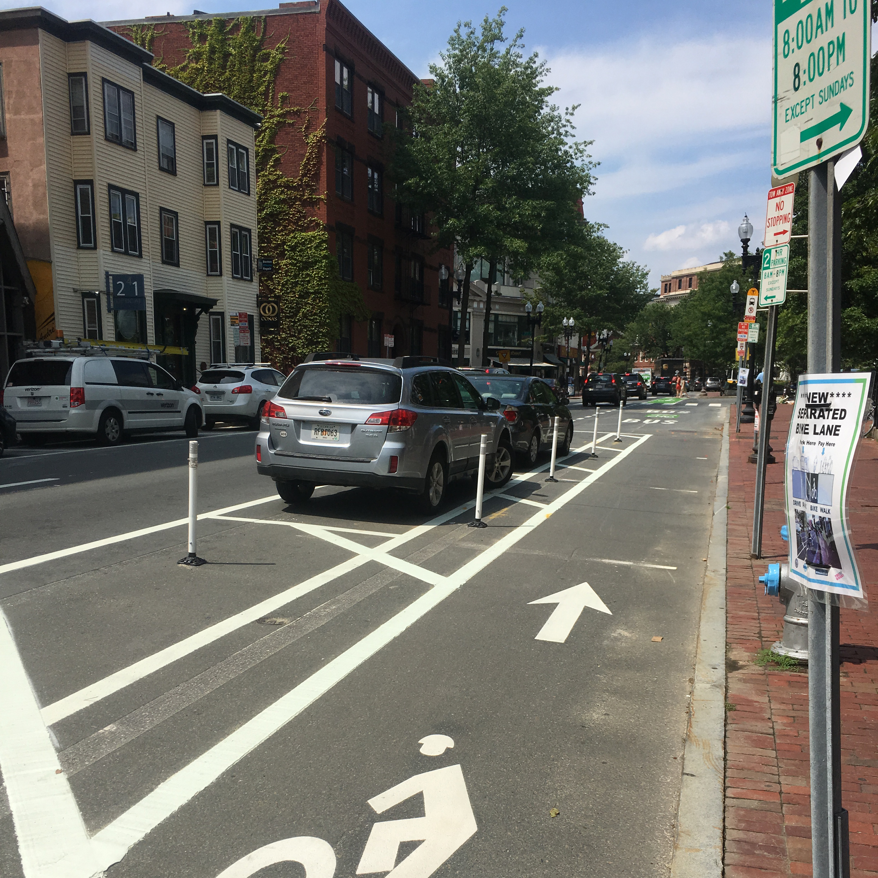 Paint, flexible posts, and parked vehicles separate people biking from vehicle traffic. A large bike lane marking is painted in the bike lane.